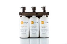 Load image into Gallery viewer, Bronze PVD Stainless Steel Triple 9oz Oval Bottle Amenity Fixture